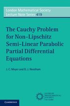 Cauchy Problem Non-Lipschitz Equations