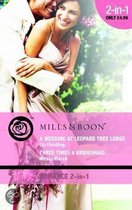 A Wedding At Leopard Tree Lodge