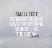 From Far Enough Away Everything Sounds Like the Ocean