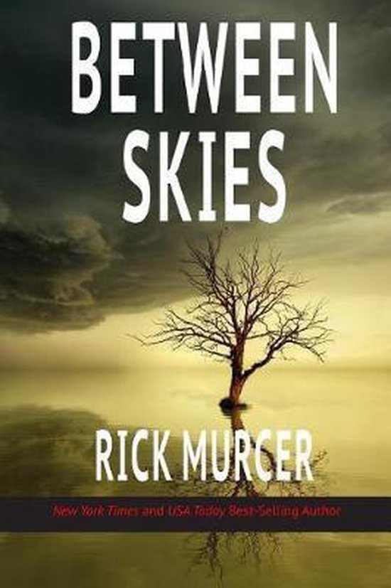 Between Skies - cover