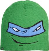 Ninja Turtles Muts - met Blauw Masker - Groen