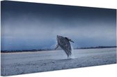 Canvas Schilderij Brede foto van springende walvis - 120x80 cm - Wanddecoratie