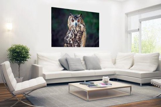 Poster Eagle Owl 150x75 cm - Tirage photo sur Poster (décoration murale salon / chambre) / Poster Animaux