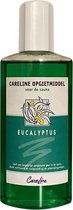 Careline Sauna Opgietconcentraat Eucalyptus - (100ml)