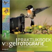 Birdpix 8 -   Praktijkboek vogelfotografie