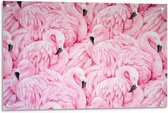 Tuinposter – Roze Flamingo's Patroon - 90x60cm Foto op Tuinposter  (wanddecoratie voor buiten en binnen)