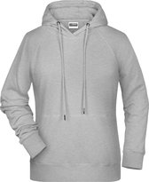 James and Nicholson Dames/dames Raglan Sleeved Hoodie (Grijze Heide)