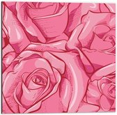 Dibond - Roze Getekende Rozen - 50x50cm Foto op Aluminium (Met Ophangsysteem)