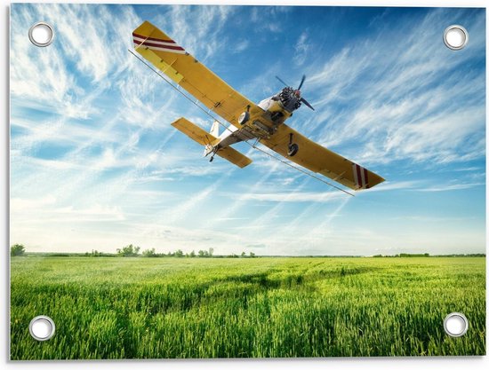 Tuinposter – Geel Vliegtuig boven Grasveld  - 40x30cm Foto op Tuinposter  (wanddecoratie voor buiten en binnen)