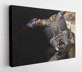 Onlinecanvas - Schilderij - Close Up A Longhorn Beetle Art Horizontal Horizontal - Multicolor - 40 X 50 Cm