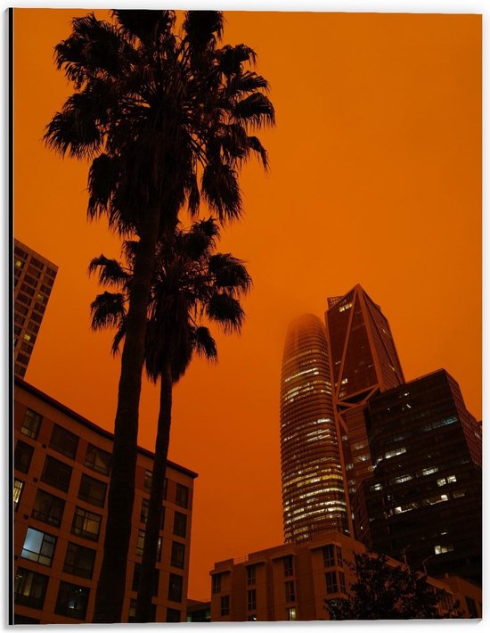 Dibond - Palmbomen met Mooie Gebouwen op de Achtergrond - 30x40cm Foto op Aluminium (Met Ophangsysteem)