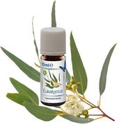 Venta Bio Eucalyptus Geurolie voor Venta Airwasher 3x10 ml