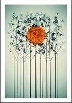 Poster Bamboo sunset