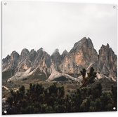 Tuinposter – Gebergtes - 100x100cm Foto op Tuinposter  (wanddecoratie voor buiten en binnen)