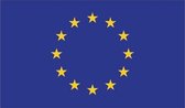 Vlag Europese Gemeenschap 70x100 cm.