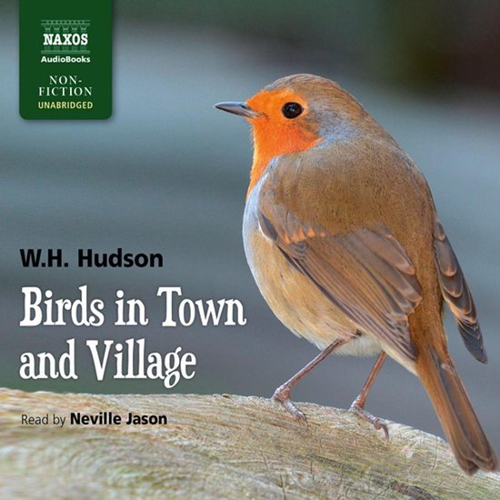 Birds in Town and Village - cover