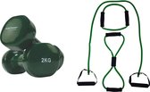 Tunturi - Fitness Set - Vinyl Dumbbell 2 x 2 kg - Tubing Set Groen