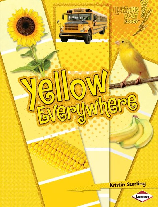 Lightning Bolt Books ® — Colors Everywhere Yellow Everywhere (ebook