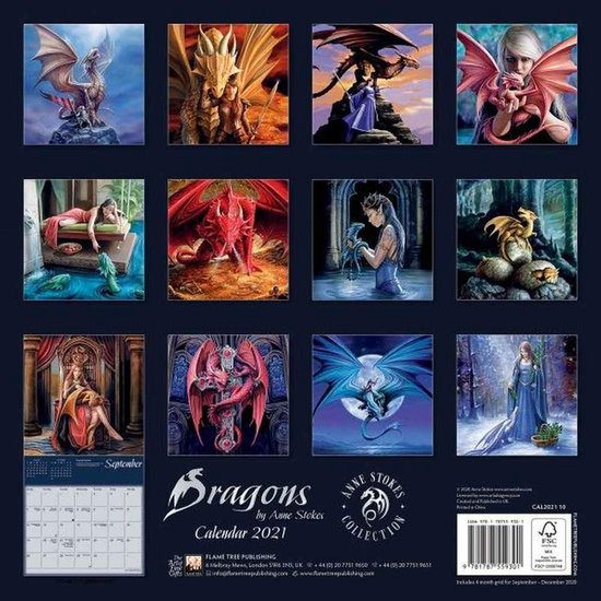 DRAGONS BY ANNE STOKES WALL CA