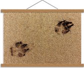 Schoolplaat – Hondenpoot Afdrukken in het Zand - 60x40cm Foto op Textielposter (Wanddecoratie op Schoolplaat)