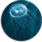 Dibond Wandcirkel - Kleine Blauwe Kwal in het Water - 40x40cm Foto op Aluminium Wandcirkel (met ophangsysteem)