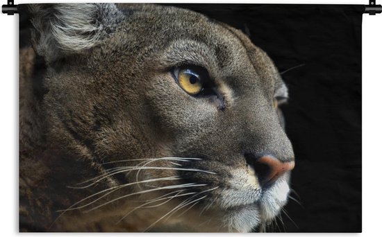 Tapisserie Animaux sur fond noir - Puma sur fond noir Tapisserie coton 120x80 cm - Tapisserie avec photo