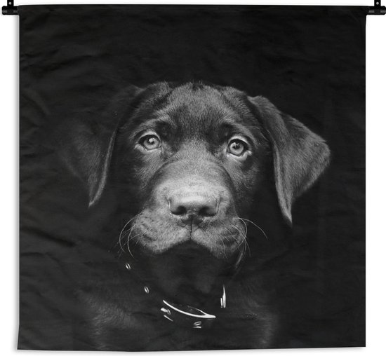 knelpunt Beschrijvend Aantrekkingskracht Wandkleed Dieren op een zwarte achtergrond - Zwarte labrador puppy op zwarte...  | bol.com