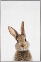 JUNIQE - Poster met kunststof lijst Baby konijn kleurenfoto -60x90