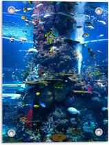 Tuinposter – Tropische Vissen in Aquarium  - 30x40cm Foto op Tuinposter  (wanddecoratie voor buiten en binnen)