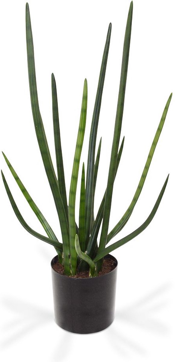 maxifleur Kunstplanten Sanseveria Cylindrica kunstplant 75cm - groen