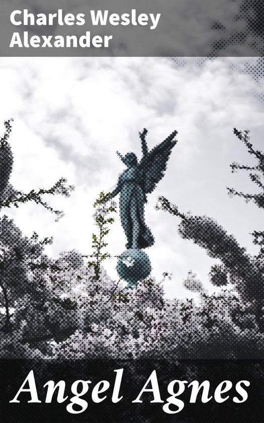Angel Agnes - cover