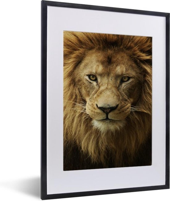Fotolijst incl. Poster - Portret - Afrika - Leeuw - 30x40 cm - Posterlijst