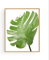 Poster Botanisch Tropisch Blad Rechts - 50x40cm - Planten - Muurdecoratie