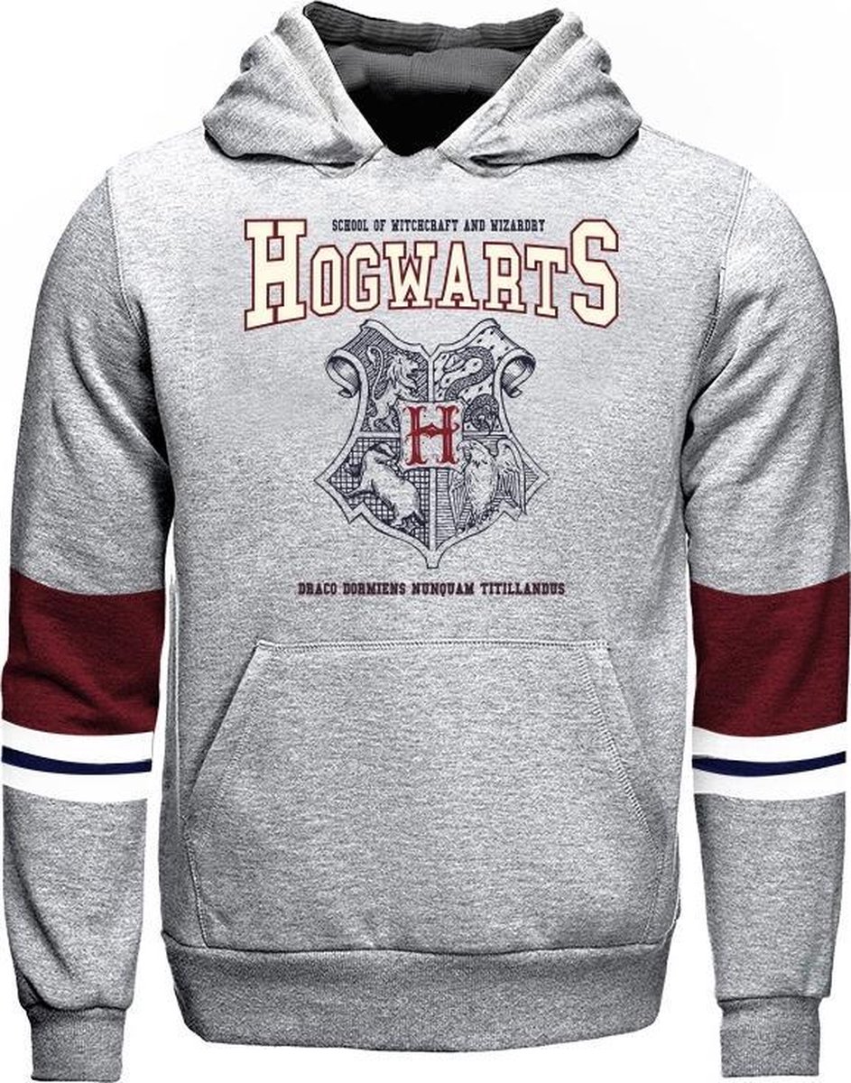 Harry Potter - Hogwarts Crest Sweatshirt Grijs - XL