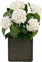 Witte kunst hortensia 40 cm in pot