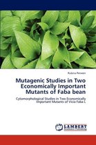 Mutagenic Studies in Two Economically Important Mutants of Faba Bean