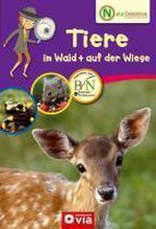 Naturdetektive - Tiere im Wald + auf der Wiese