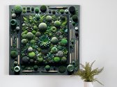 Acryl mos artwork | Groen fluweelzacht mos dansend op kleurrijk acryl canvas schilderij | Kunst - 60x60 centimeter op Forex | Foto op Forex