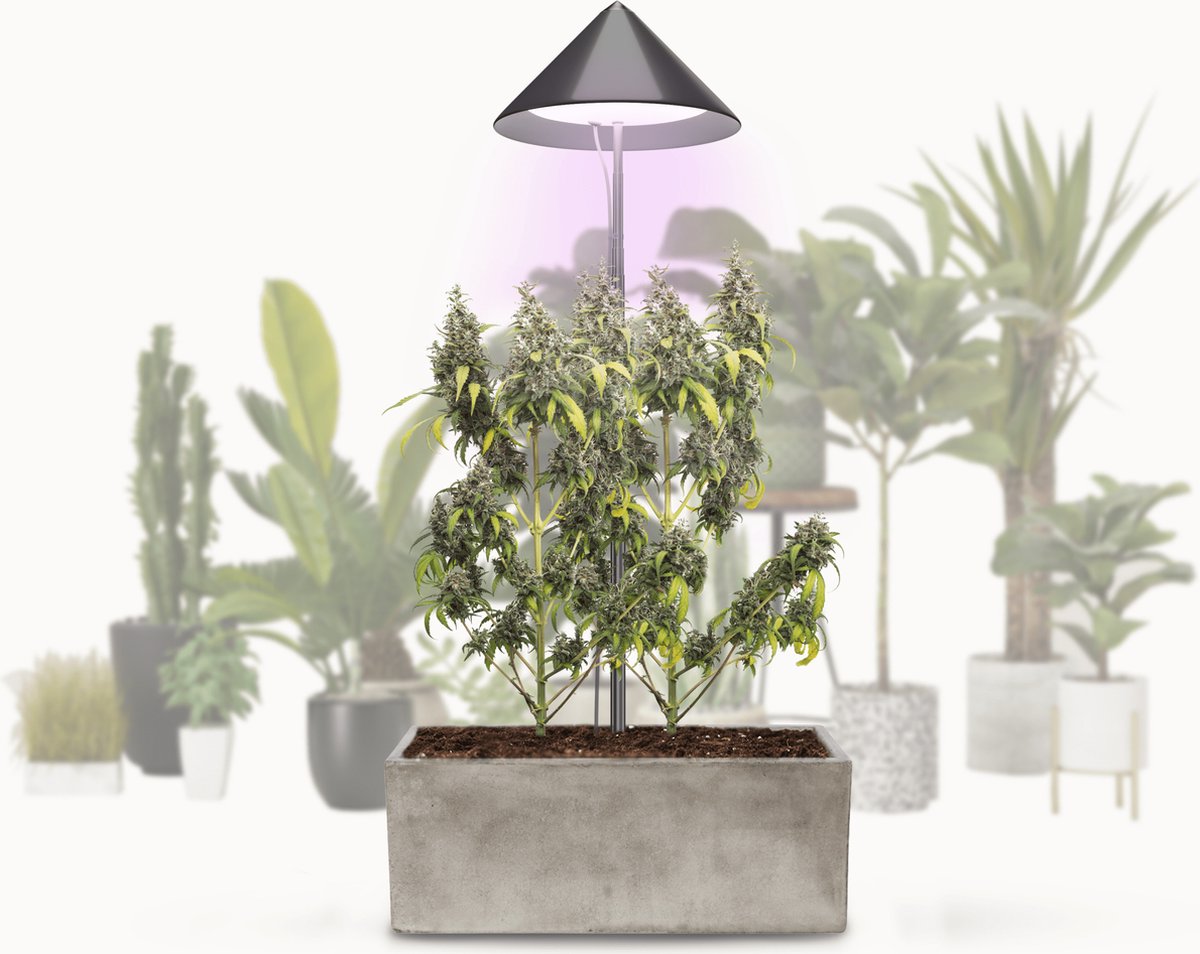 Parus by Venso SUNLiTE Kweeklamp XL 25W gris, LED groeilamp met telescopische staaf, groeilamp voor kamerplanten en groene planten