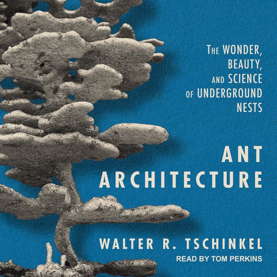 Ant Architecture - cover