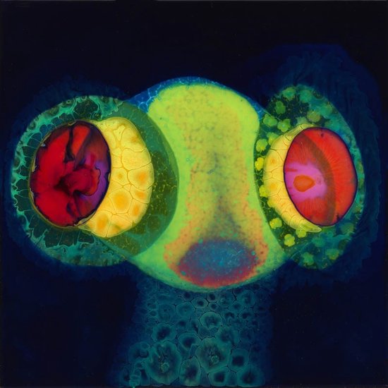 Osees - Sorcs 80 (LP)