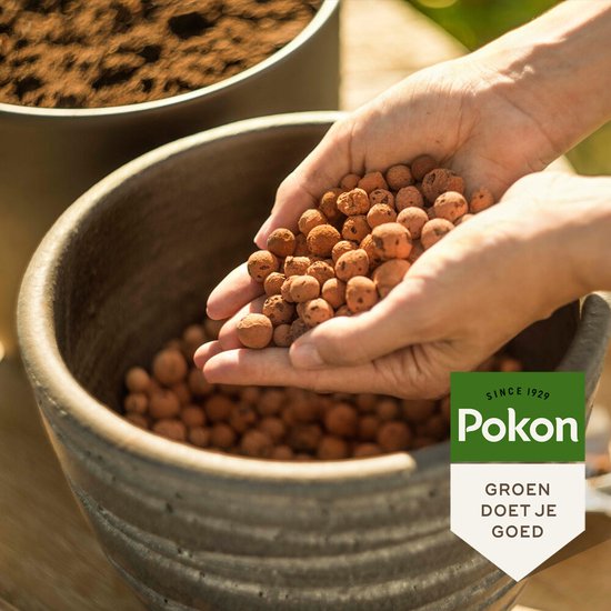 Handen met bruine hydrokorrels boven een pot, met een Pokon logo. 'SINCE 1929 GROEN DOET JE GOED'