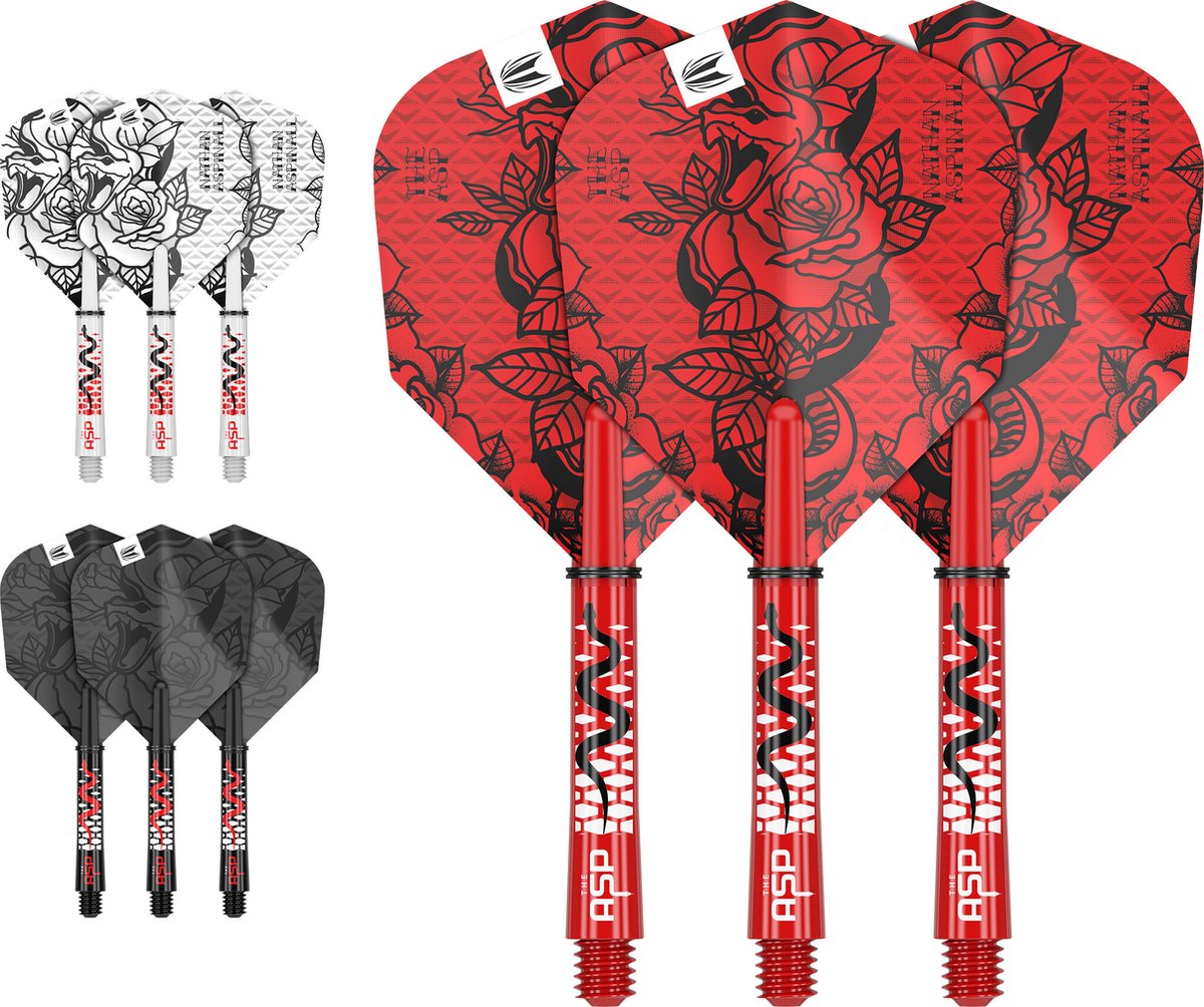 Target Nathan Aspinall Ink Flight Shaft Kit - Dart Flights
