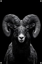 Ram poster - Dier tuinposter - Tuinposter Oren - Buiten - Tuinaccesoires voor aan de muur - Tuindecoratie wanddecoratie tuinposter 50x75 cm