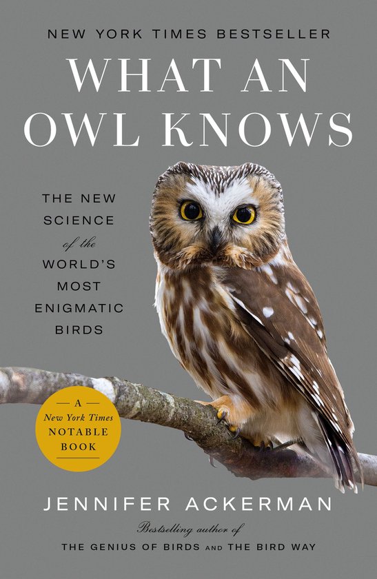 What an Owl Knows - cover