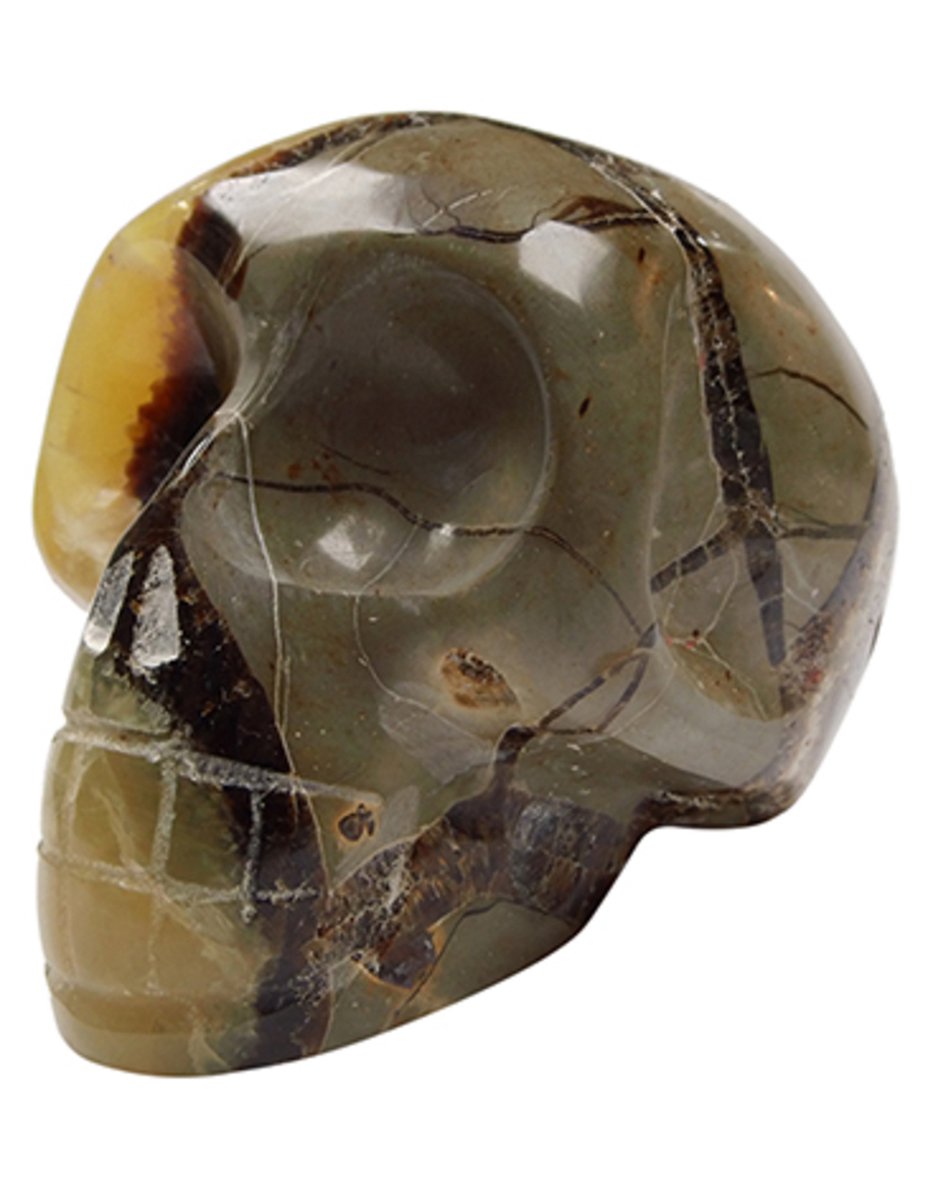 Schedel Septarie 9 cm