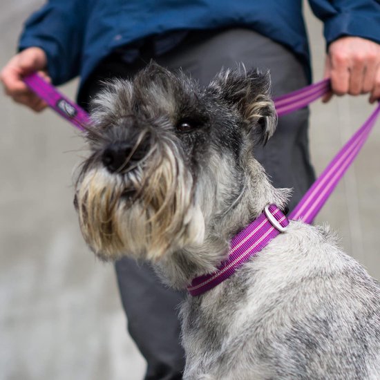 UrbanPup Hundehalsband – Krokodilleder-Optik Mit Diamant-Verzierung | Blau & Funkelnd | Größen S Bis XL