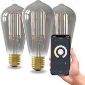 Lampe Intelligente Calex - Siècle des Lumières à Filament LED Wifi - E27 - Ampoule Smart Titane - Intensité Variable - Lumière Wit Chaud - 7W - Set de 3 Pièces