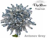 DutchFlowers - Boeket - 20x Chrysant antonov grijs 60cm