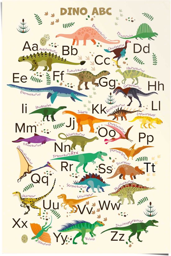 Foto: Reinders poster dino abc 91 5x61cm papier